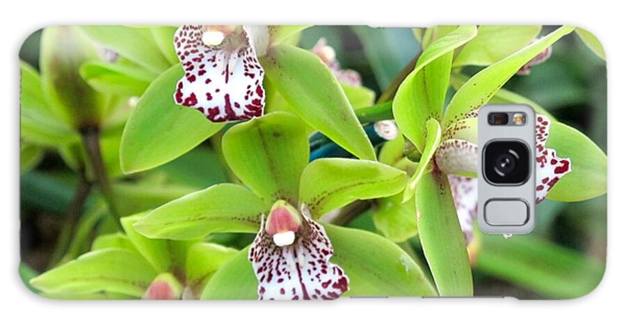 Orchid Galaxy Case featuring the photograph Orchids #3 by Sue Morris
