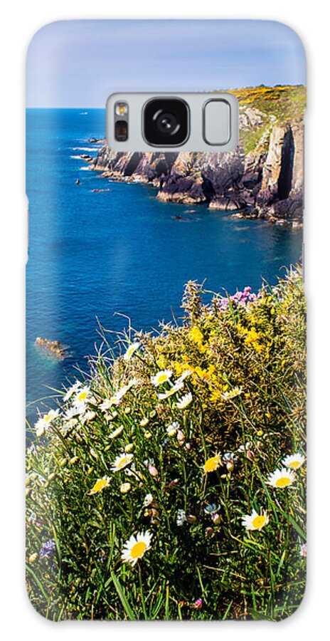 Armeria Maritima Galaxy Case featuring the photograph St Non's Bay West Wales #3 by Mark Llewellyn