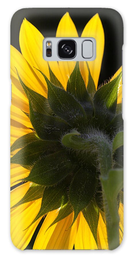 Nature Galaxy Case featuring the photograph Sunshine #3 by Michael Friedman