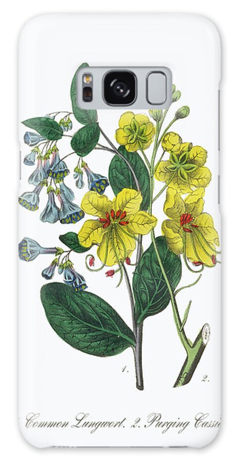 White Background Galaxy Case featuring the digital art Victorian Botanical Illustration Of #3 by Bauhaus1000
