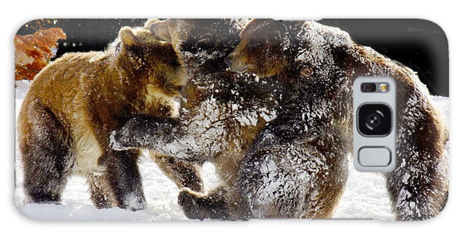 Grizzlies Galaxy Case featuring the photograph 300 Pound Playmates by Kae Cheatham