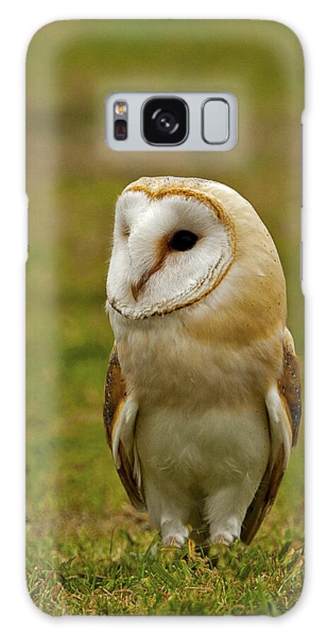 Barnowl Galaxy S8 Case featuring the photograph Barn Owl #4 by Paul Scoullar