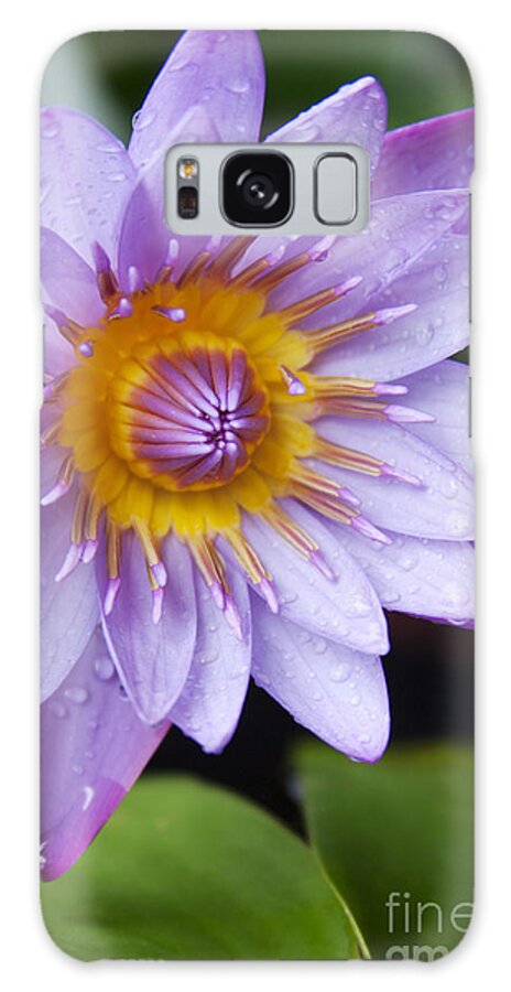 Aloha Galaxy Case featuring the photograph The Lotus Flower #2 by Sharon Mau