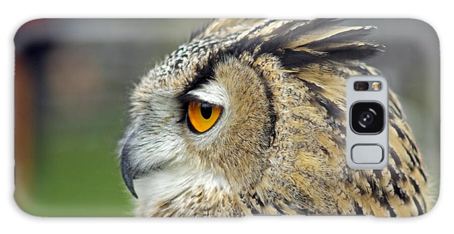 Eurasian Eagle Owl Galaxy S8 Case featuring the photograph European Eagle Owl #5 by Tony Murtagh