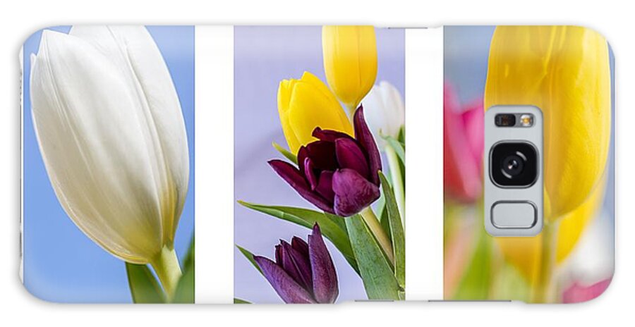 Nature Galaxy Case featuring the photograph Tulips #5 by Paulo Goncalves