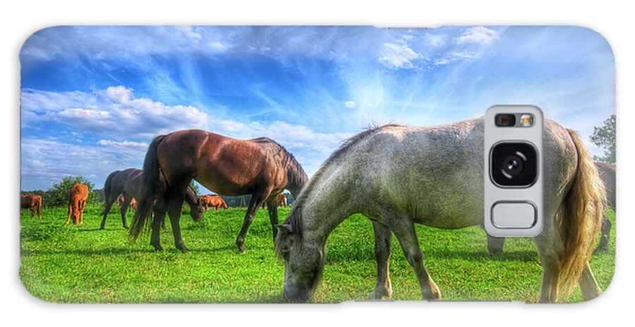 Horse Galaxy Case featuring the photograph Wild horses on the field #5 by Michal Bednarek