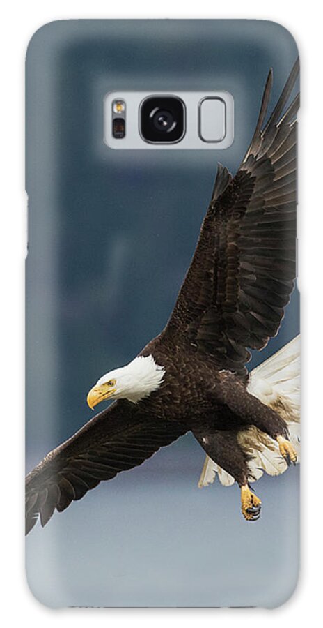 Bald Eagle Galaxy Case featuring the photograph Bald Eagle #7 by Ken Archer