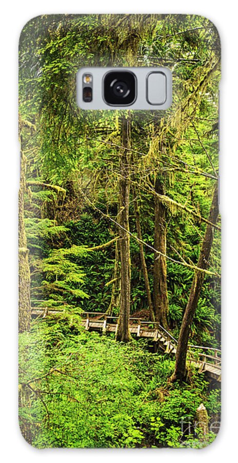 Rainforest Galaxy Case featuring the photograph Path in temperate rainforest 7 by Elena Elisseeva