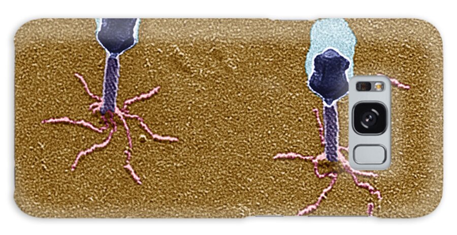 Bacteriophage Galaxy Case featuring the photograph T-bacteriophages And E-coli #8 by Eye of Science