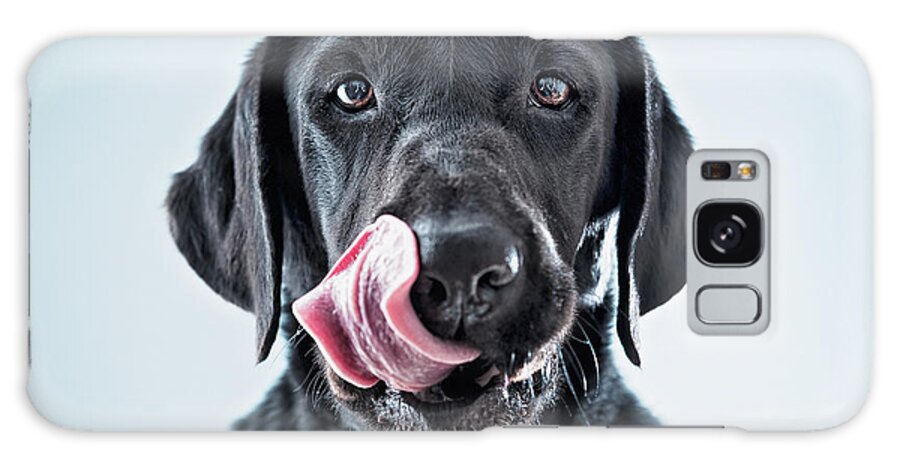 Pets Galaxy Case featuring the photograph A Black Dog Licking His Lips by Ben Welsh / Design Pics