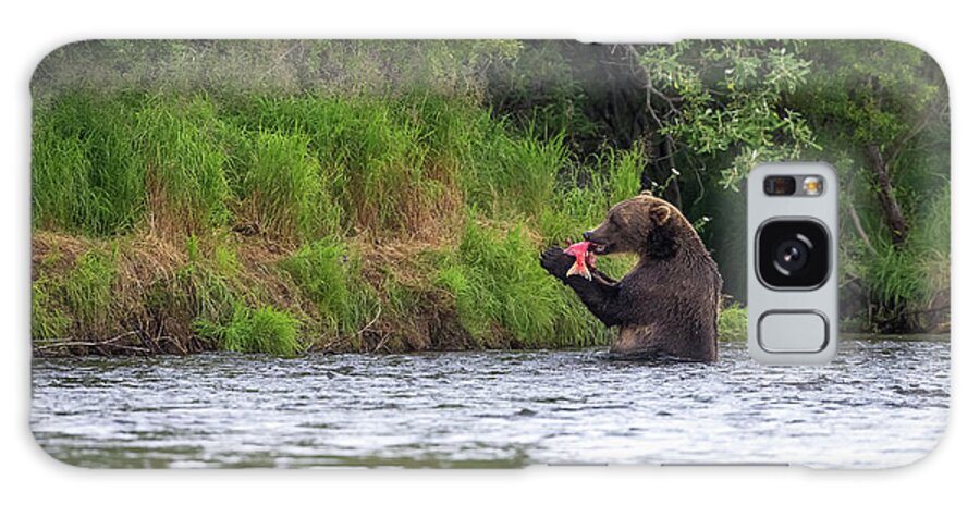 Brown Bear Galaxy Case featuring the photograph A Brown Bear Ursus Arctos Catches A by John Hyde / Design Pics