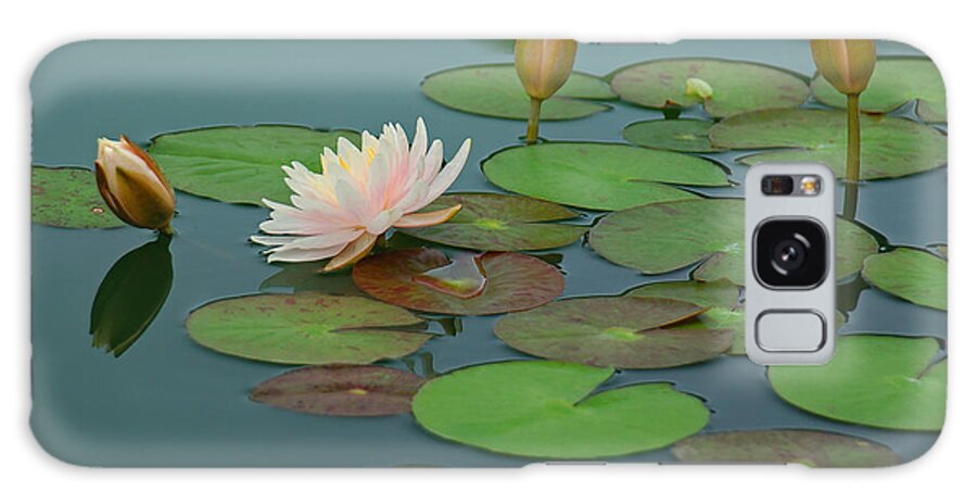Water Lily Galaxy Case featuring the photograph A Day at the Lily Pond by Suzanne Gaff
