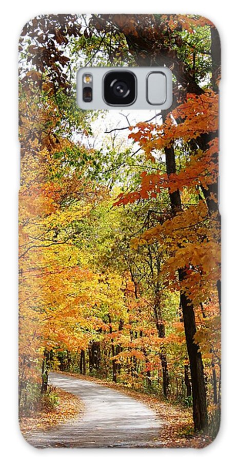 Woodland Galaxy Case featuring the photograph A Drive through the Woods by Bruce Bley
