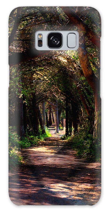 Forest Galaxy S8 Case featuring the photograph A Forest Path -Dungeness Spit - Sequim Washington by Marie Jamieson