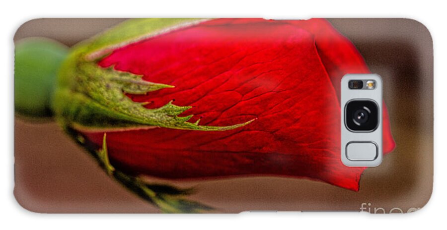 Art Prints Galaxy Case featuring the photograph A Knockout Bloom by Dave Bosse