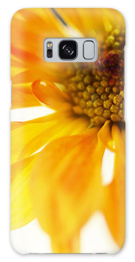 Chrysanthemum Galaxy S8 Case featuring the photograph A Little Bit Sun in the Cold Time by Jenny Rainbow