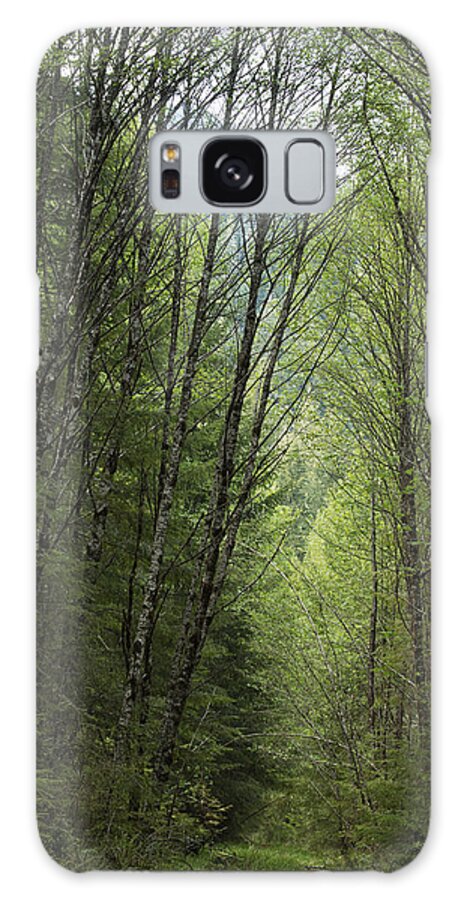 Woods Galaxy Case featuring the photograph A Path through the Woods by Belinda Greb