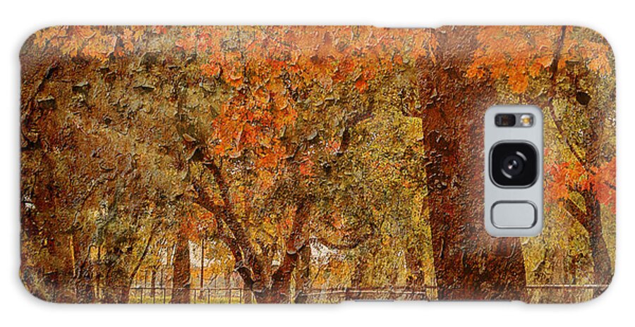 Maple Tree Galaxy Case featuring the photograph A pathway through the maples less traveled by SCB Captures