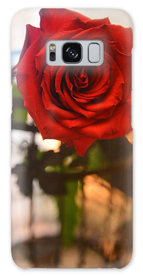 Red Galaxy Case featuring the photograph A Red red rose by Patricia Dennis