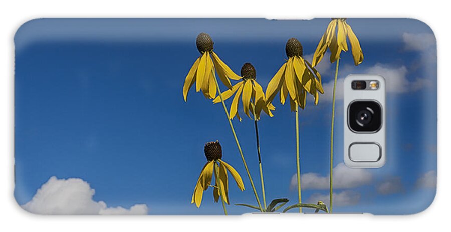 Wildflowers Galaxy Case featuring the photograph A Summer Daydream... by Dan Hefle
