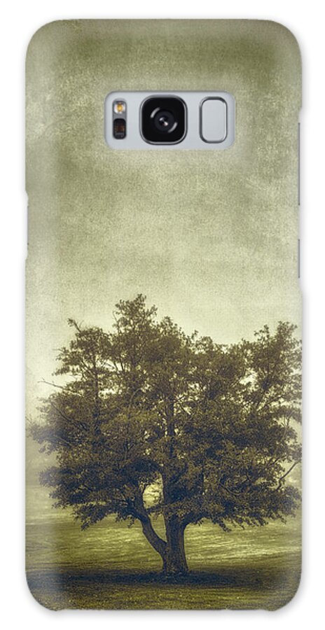 Tree Galaxy Case featuring the photograph A Tree in the Fog 2 by Scott Norris