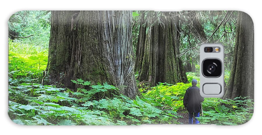 Landscapes Galaxy Case featuring the photograph A Walk in the Ancient Forest by Mary Lee Dereske