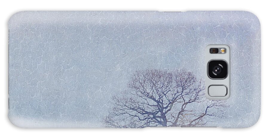 Tree Galaxy Case featuring the photograph A walk in the snow by Lyn Randle