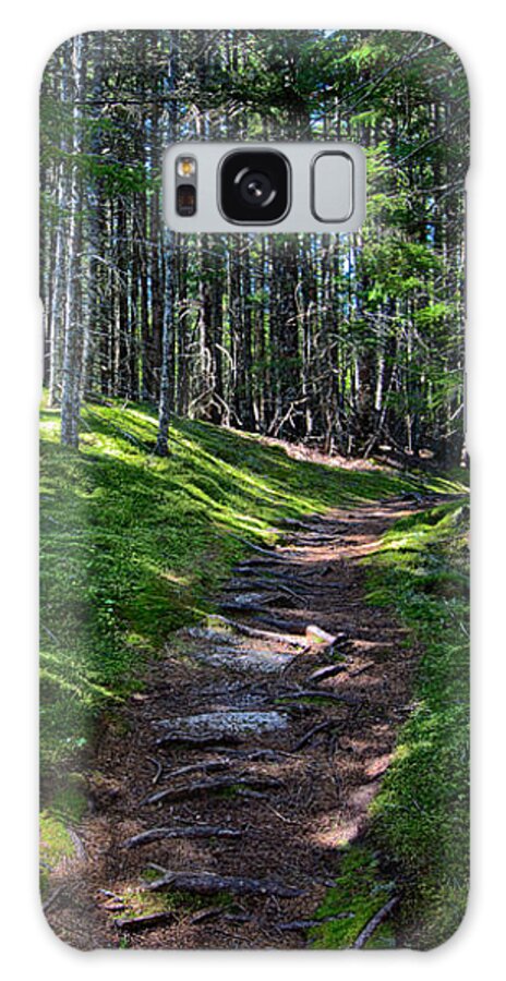 Maine Galaxy Case featuring the photograph A Walk in the Woods by John Haldane