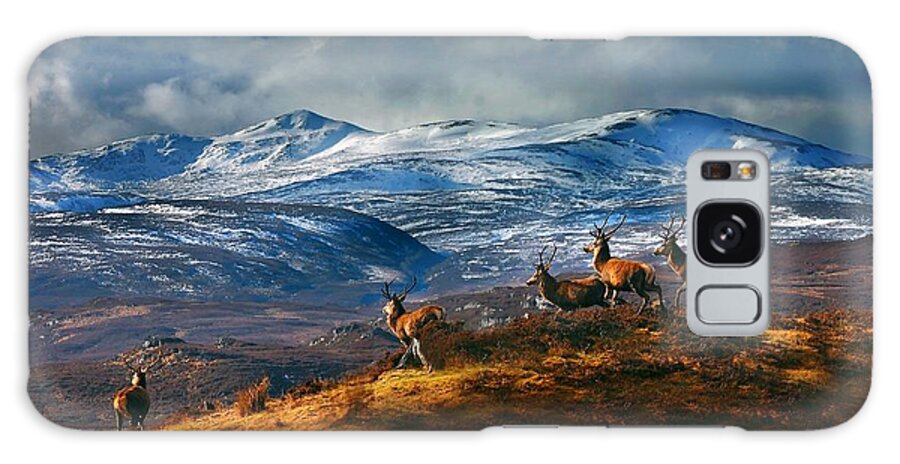 Stags Galaxy S8 Case featuring the photograph Above Strathglass by Gavin Macrae