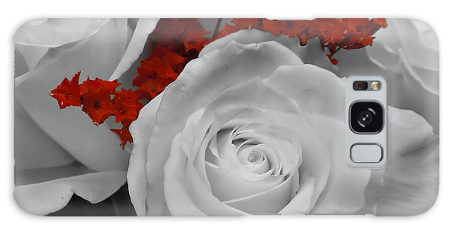 Macro Galaxy Case featuring the photograph Accented Rose by Pete Trenholm