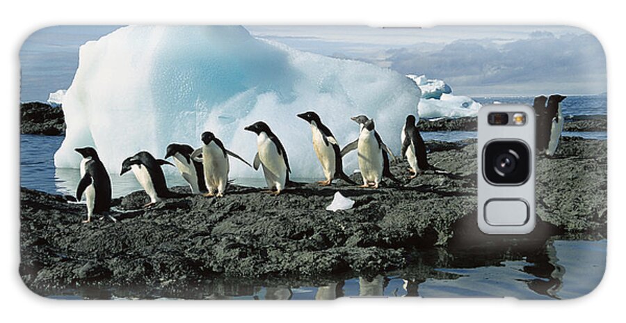 Feb0514 Galaxy Case featuring the photograph Adelie Penguins Coming Ashore Antarctica by Colin Monteath