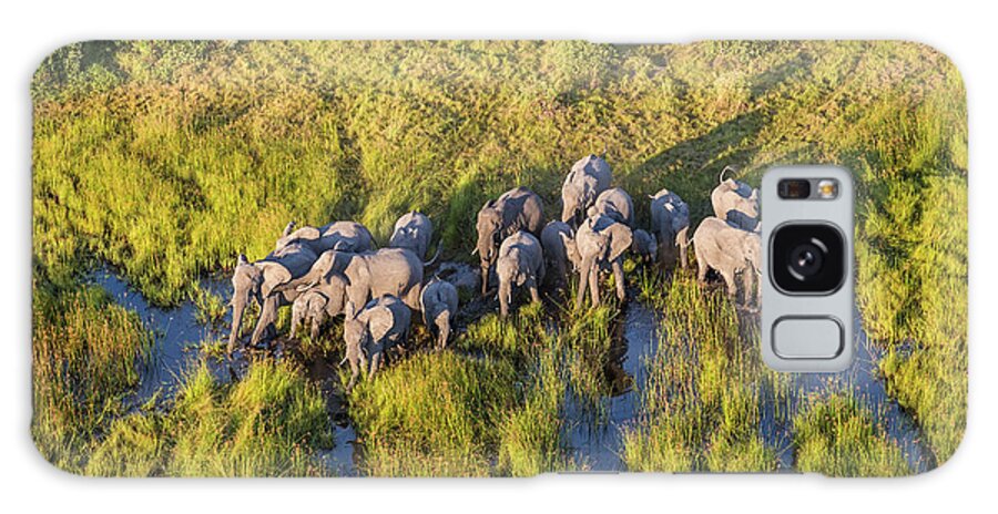 Botswana Galaxy Case featuring the photograph Aerial View Elephants, Okavango Delta by Peter Adams