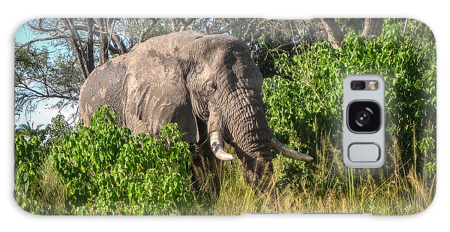 Botswana Galaxy Case featuring the photograph African Bush Elephant by Gregory Daley MPSA