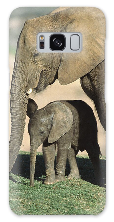 Feb0514 Galaxy Case featuring the photograph African Elephant Mother And Calf by San Diego Zoo