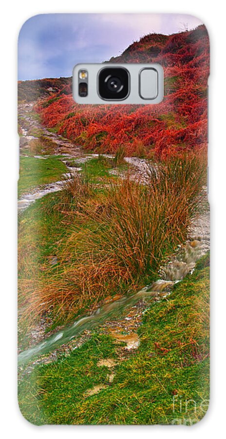 Stream Galaxy Case featuring the photograph After the Rain - Moorland Streams by Martyn Arnold