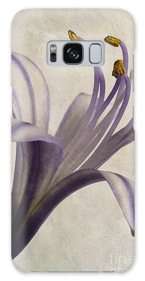 African Star Galaxy Case featuring the photograph Agapanthus africanus Star by John Edwards