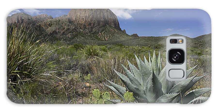 Feb0514 Galaxy Case featuring the photograph Agave And Cactus Big Bend Np Texas by Tim Fitzharris