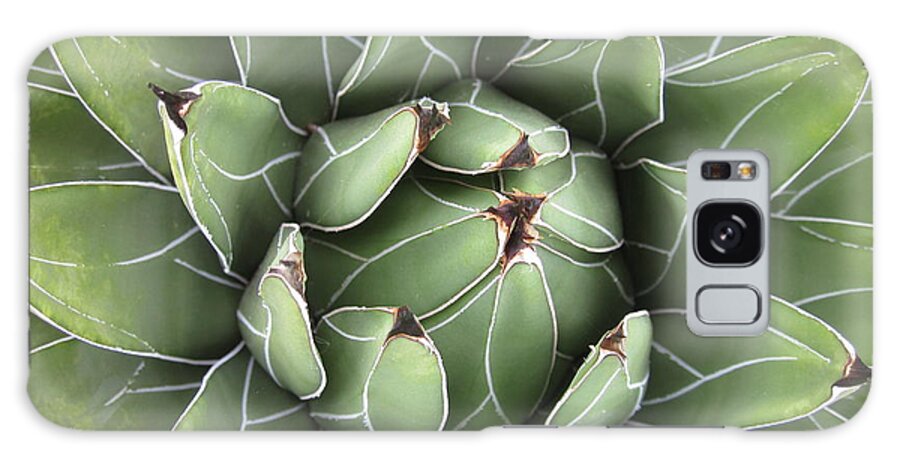 Agave Galaxy S8 Case featuring the photograph Agave by Chani Demuijlder