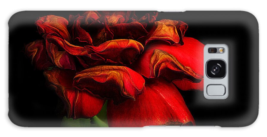 Rose Galaxy Case featuring the photograph Ageing Beauty by Robert Woodward