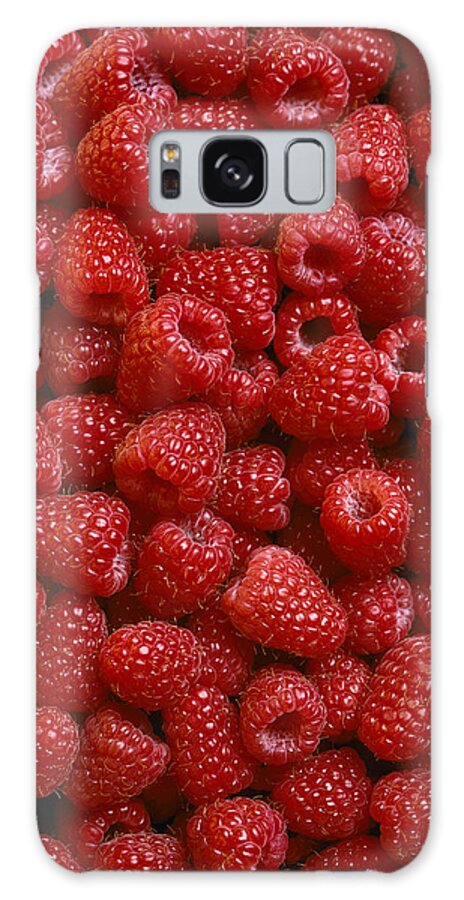 Agriculture Galaxy Case featuring the photograph Agriculture - Fresh Raspberries, Studio by Daniel Hurst