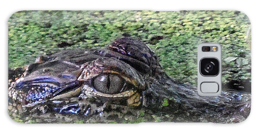 American Alligator Galaxy S8 Case featuring the photograph Alligator 027 by Christopher Mercer