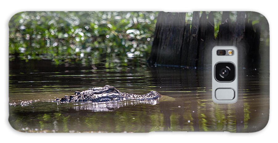 Alligator Galaxy Case featuring the photograph Alligator Swimming in Bayou 2 by Gregory Daley MPSA