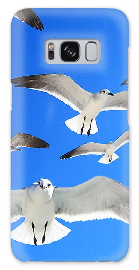 Bird Galaxy Case featuring the photograph The Hitchcock Birds by Iryna Goodall