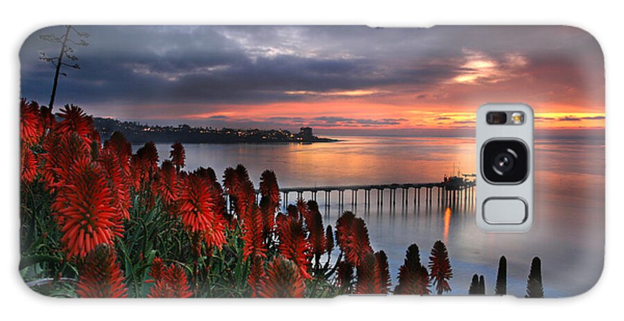 Landscape Galaxy Case featuring the photograph Aloes Last Light by Scott Cunningham