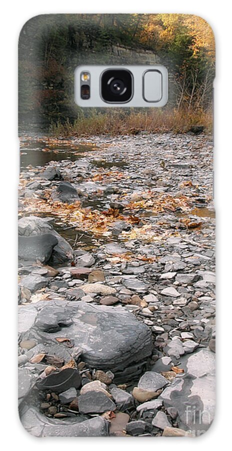 Eighteen Mile Creek Galaxy S8 Case featuring the photograph Along Eighteen Mile Creek by Tom Brickhouse