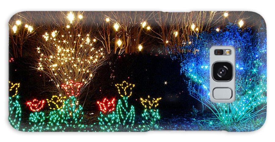 Holidays Galaxy Case featuring the photograph Along The Walk by Rodney Lee Williams