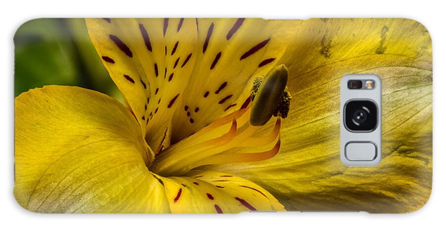 Alstroemeria Galaxy Case featuring the photograph Alstroemeria Bloom by Ron Pate