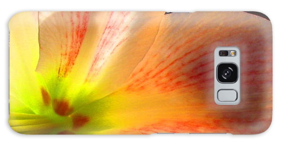 Amaryllis Galaxy Case featuring the photograph Amaryllis by Andrea Lazar