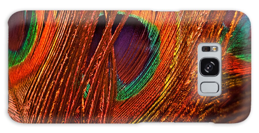 Amber Galaxy Case featuring the photograph Amber Waves of Plumage by Christi Kraft