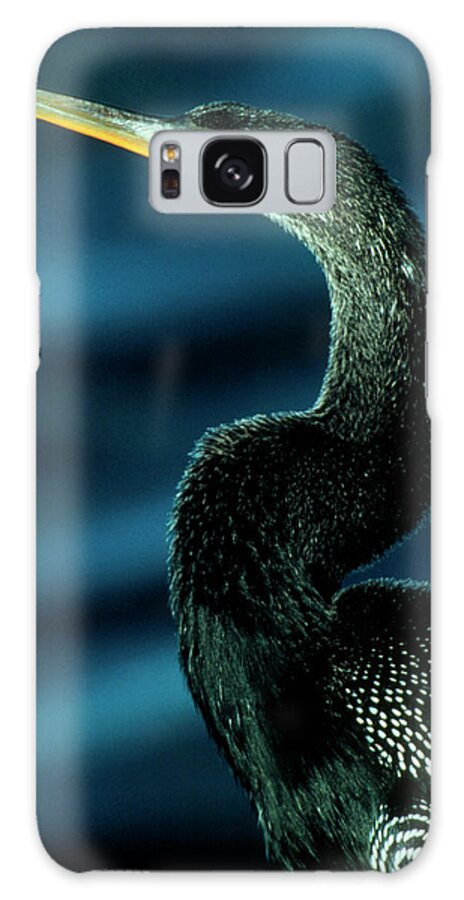 Anhinga Galaxy Case featuring the photograph American Anhinga by William Ervin/science Photo Library